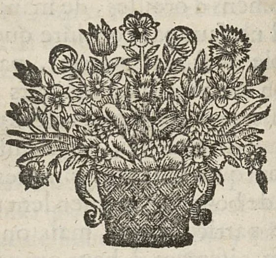 An illustration from Nouvelles formules de medecine latines et francoises, pour le Grand-Hôtel-Dieu de Lyon utiles aux autres hôpitaux, tant des villes que des armées, & aux jeunes medecins, chirurgiens & apothicaires composées...augmentées d'un traité de la verole ; seconde edition, 1699, leaf 321
