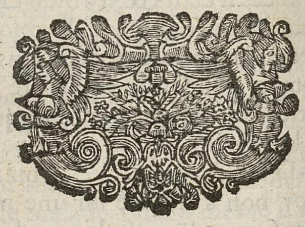 An illustration from Nouvelles formules de medecine latines et francoises, pour le Grand-Hôtel-Dieu de Lyon utiles aux autres hôpitaux, tant des villes que des armées, & aux jeunes medecins, chirurgiens & apothicaires composées...augmentées d'un traité de la verole ; seconde edition, 1699, leaf 345