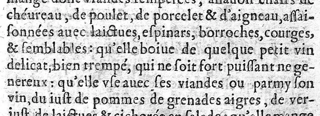 An illustration from Trois livres des maladies et infirmitez des femmes, 1649, leaf 250