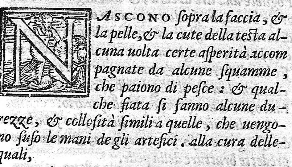 An illustration from Gli ornamenti delle donne tratti dalle scritture d'una Reina Greca, 1562, leaf 351