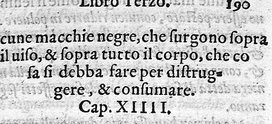 An illustration from Gli ornamenti delle donne tratti dalle scritture d'una Reina Greca, 1562, leaf 397