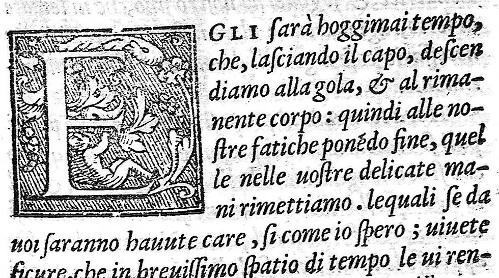 An illustration from Gli ornamenti delle donne tratti dalle scritture d'una Reina Greca, 1562, leaf 503