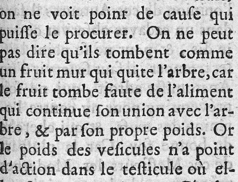 An illustration from Explication mécanique et physique des fonctions de l'âme sensitive, 1678, leaf 208