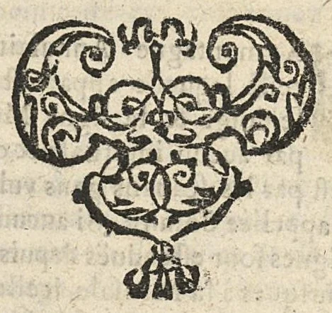 An illustration from La Chiromance et phisiognomie par le regard des membres de l'homme..., le tout mis en françois par Antoine du Moulin masconnois, 1638, leaf 104