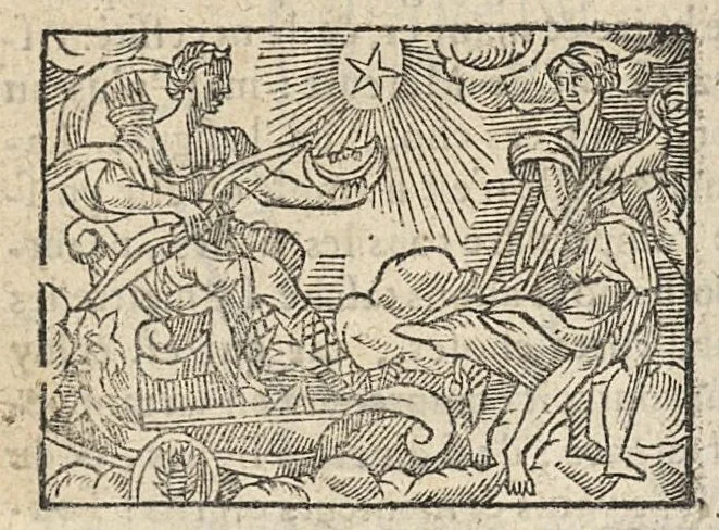 An illustration from La Chiromance et phisiognomie par le regard des membres de l'homme..., le tout mis en françois par Antoine du Moulin masconnois, 1638, leaf 115