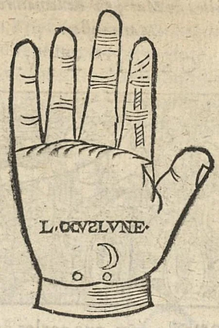 An illustration from La Chiromance et phisiognomie par le regard des membres de l'homme..., le tout mis en françois par Antoine du Moulin masconnois, 1638, leaf 118