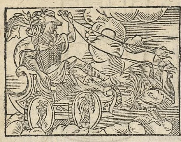 An illustration from La Chiromance et phisiognomie par le regard des membres de l'homme..., le tout mis en françois par Antoine du Moulin masconnois, 1638, leaf 119