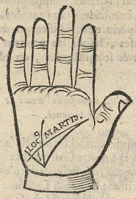 An illustration from La Chiromance et phisiognomie par le regard des membres de l'homme..., le tout mis en françois par Antoine du Moulin masconnois, 1638, leaf 120