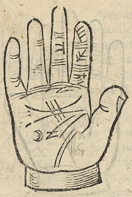 An illustration from La Chiromance et phisiognomie par le regard des membres de l'homme..., le tout mis en françois par Antoine du Moulin masconnois, 1638, leaf 127