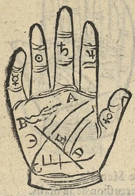 An illustration from La Chiromance et phisiognomie par le regard des membres de l'homme..., le tout mis en françois par Antoine du Moulin masconnois, 1638, leaf 21