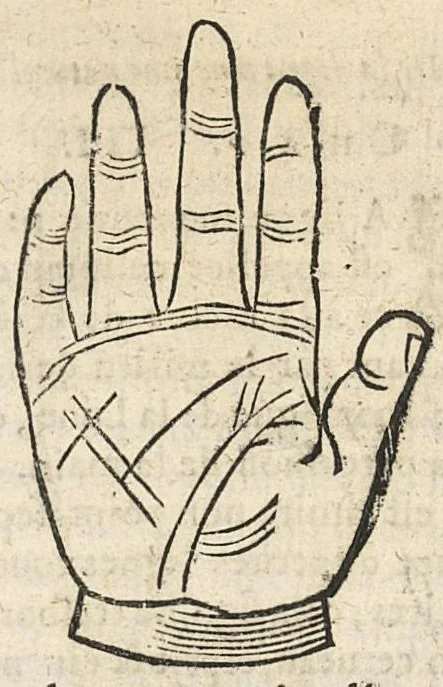 An illustration from La Chiromance et phisiognomie par le regard des membres de l'homme..., le tout mis en françois par Antoine du Moulin masconnois, 1638, leaf 34