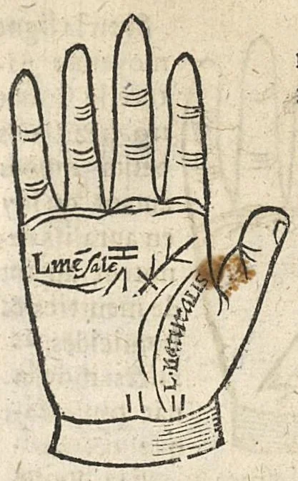 An illustration from La Chiromance et phisiognomie par le regard des membres de l'homme..., le tout mis en françois par Antoine du Moulin masconnois, 1638, leaf 40