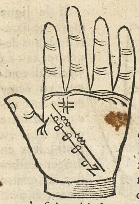 An illustration from La Chiromance et phisiognomie par le regard des membres de l'homme..., le tout mis en françois par Antoine du Moulin masconnois, 1638, leaf 41