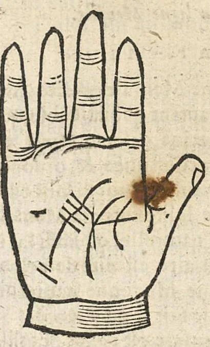 An illustration from La Chiromance et phisiognomie par le regard des membres de l'homme..., le tout mis en françois par Antoine du Moulin masconnois, 1638, leaf 42