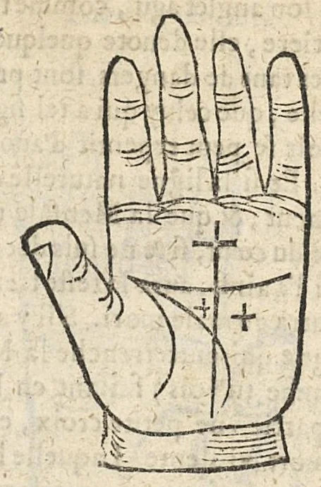 An illustration from La Chiromance et phisiognomie par le regard des membres de l'homme..., le tout mis en françois par Antoine du Moulin masconnois, 1638, leaf 56