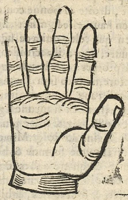 An illustration from La Chiromance et phisiognomie par le regard des membres de l'homme..., le tout mis en françois par Antoine du Moulin masconnois, 1638, leaf 58
