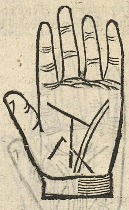 An illustration from La Chiromance et phisiognomie par le regard des membres de l'homme..., le tout mis en françois par Antoine du Moulin masconnois, 1638, leaf 65
