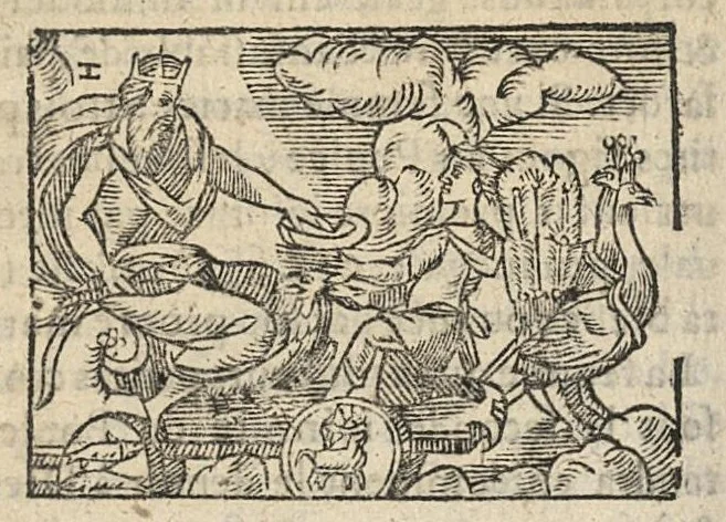 An illustration from La Chiromance et phisiognomie par le regard des membres de l'homme..., le tout mis en françois par Antoine du Moulin masconnois, 1638, leaf 91