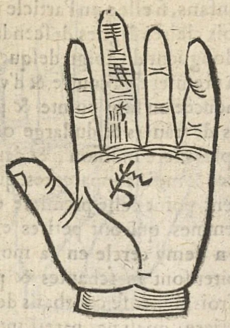 An illustration from La Chiromance et phisiognomie par le regard des membres de l'homme..., le tout mis en françois par Antoine du Moulin masconnois, 1638, leaf 97