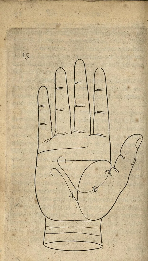 An illustration from La chiromancie medicinale. Accompagnée d'un Traité de la physionomie, & d'un autre des marques qui paroissent sur les ongles des doigts...trad. par Philippe Henry Treusches, 1665, leaf 135