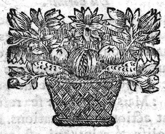 An illustration from Les Jugements astronomiques des songes, par Artemidorus, autheur ancien et renommé. Augmenté par Auguste Niphe sur les Augures. Et un traité fait sur les divinations par Antoine du Moulin, 1664, leaf 73
