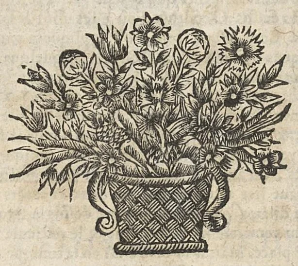 An illustration from Oeuvres chirurgicales...divisées en deux parties...derniere edition soigneusement reveue & enrichie de diverses figures inventées par l'autheur, 1658, leaf 223