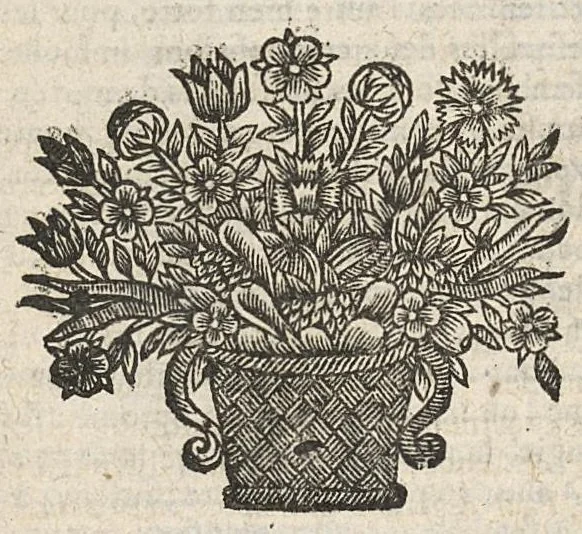 An illustration from Oeuvres chirurgicales...divisées en deux parties...derniere edition soigneusement reveue & enrichie de diverses figures inventées par l'autheur, 1658, leaf 447