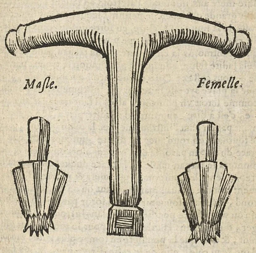 An illustration from Oeuvres chirurgicales...divisées en deux parties...derniere edition soigneusement reveue & enrichie de diverses figures inventées par l'autheur, 1658, leaf 528