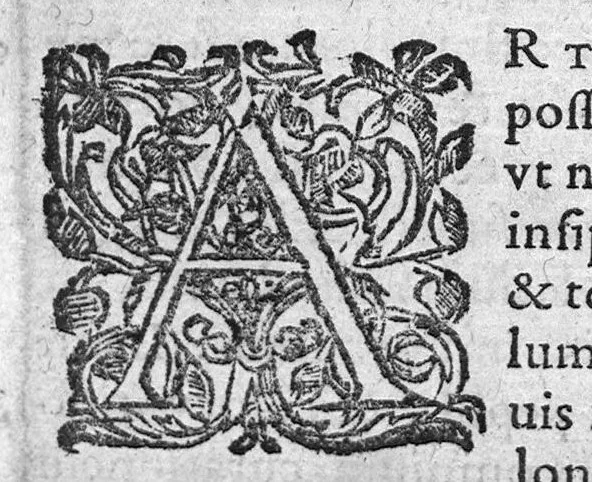 An illustration from Myrothecium spagyricum ; sive, Pharmacopoea chymica, occultis naturae arcanis, ex hermeticorum medicorum scriniis depromptis abunde illustrata..., 1628, leaf 7