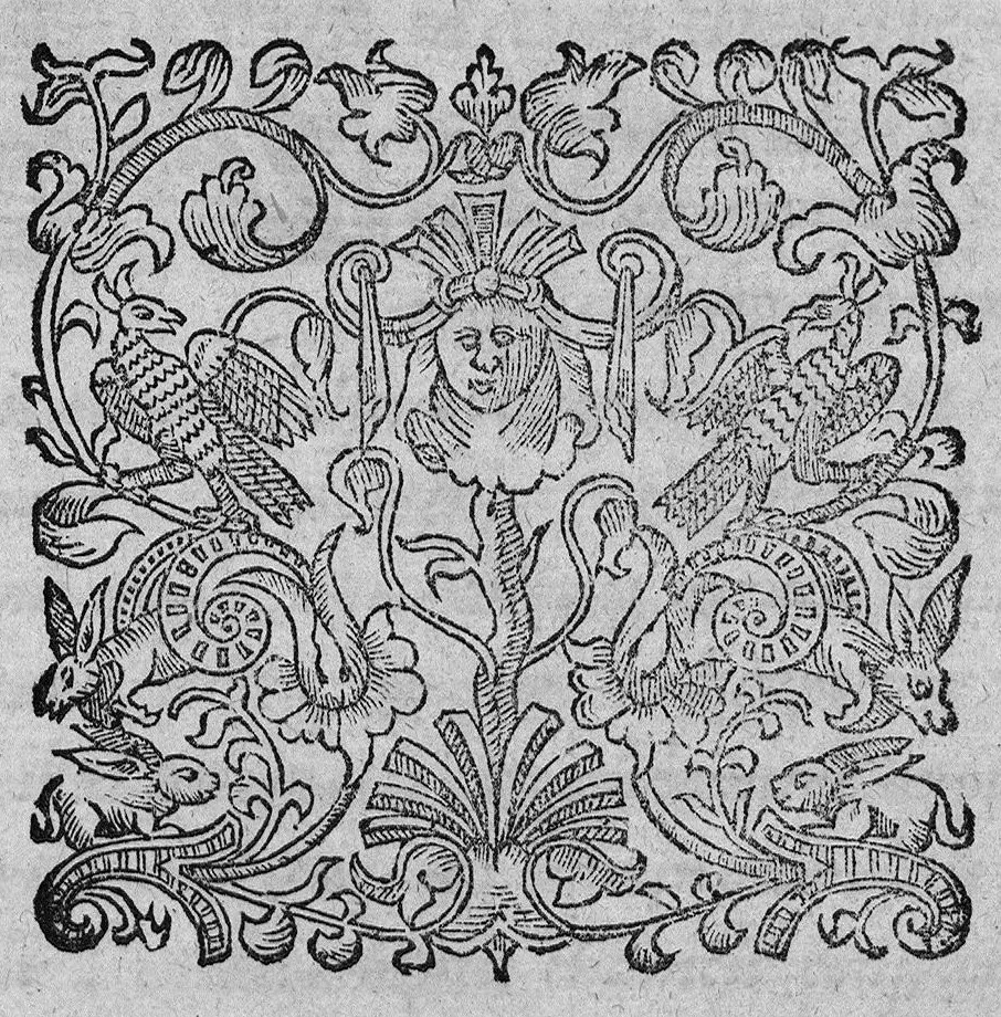 An illustration from Insignes curationes variorum morborum, quos medicamentis chymicis iucundissima methodo curavit..., 1627, leaf 0