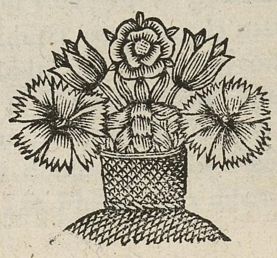An illustration from Divers traictez, à sçavoir de la nature des bains de Bourbon...de la Macreuse. de la poudre de sympathie/ Response à Monsieur Papin..., 1651, leaf 18