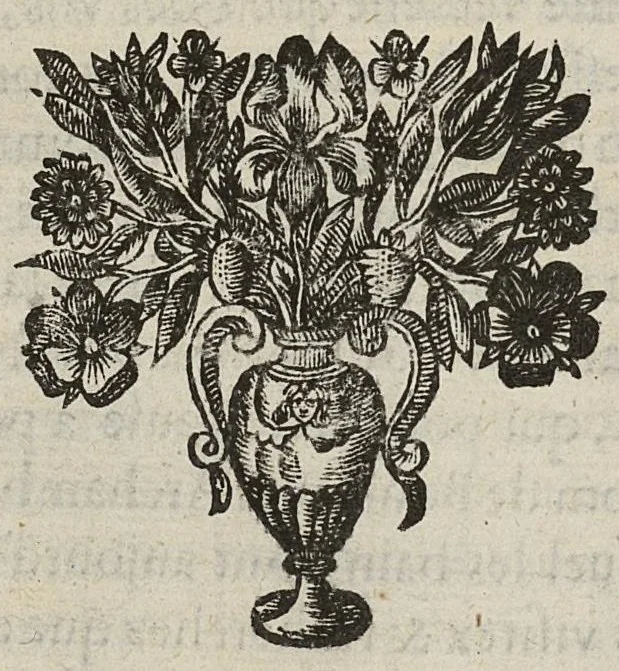 An illustration from Divers traictez, à sçavoir de la nature des bains de Bourbon...de la Macreuse. de la poudre de sympathie/ Response à Monsieur Papin..., 1651, leaf 35