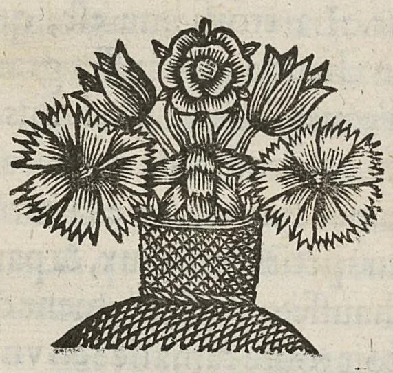 An illustration from Divers traictez, à sçavoir de la nature des bains de Bourbon...de la Macreuse. de la poudre de sympathie/ Response à Monsieur Papin..., 1651, leaf 53