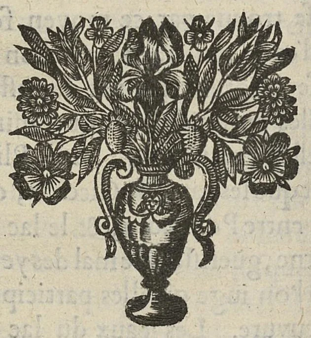 An illustration from Divers traictez, à sçavoir de la nature des bains de Bourbon...de la Macreuse. de la poudre de sympathie/ Response à Monsieur Papin..., 1651, leaf 91