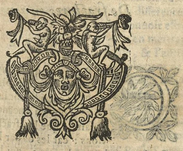 An illustration from Le miroir de la beauté et santé corporelle. tome second...reveu & corrigé d'une infinité de fautes passées és precedentes impressions, 1643, leaf 410