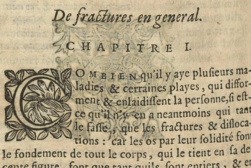 An illustration from Le miroir de la beauté et santé corporelle. tome second...reveu & corrigé d'une infinité de fautes passées és precedentes impressions, 1643, leaf 411