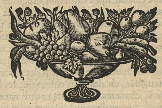 An illustration from Traité des maladies des femmes par M. Jean Varandée...reue, augmenté d'annotations, & traduit en françois par I. B...., 1666, leaf 15