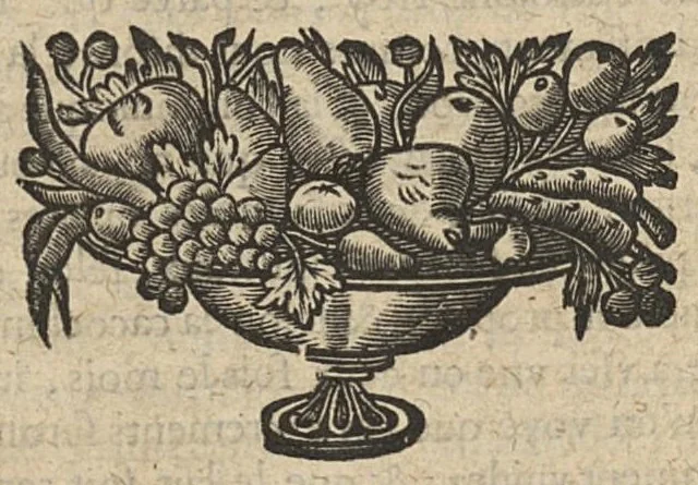 An illustration from Traité des maladies des femmes par M. Jean Varandée...reue, augmenté d'annotations, & traduit en françois par I. B...., 1666, leaf 581