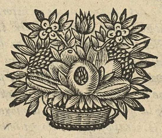 An illustration from L'oeuvre minerale ou est enseignée la séparation de l'or des pierres à feu, sable, argile, & autres fossiles...mise en françois par le sieur Du Teil, 1659, leaf 5