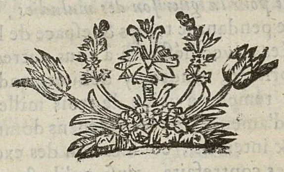 An illustration from Traité des medicamens. Et la maniere de s'en servir pour la guerison des maladies, suivant les experiences des medecins modernes. Avec les formules pour la composition des medicamens. seconde edition..., 1695, leaf 30