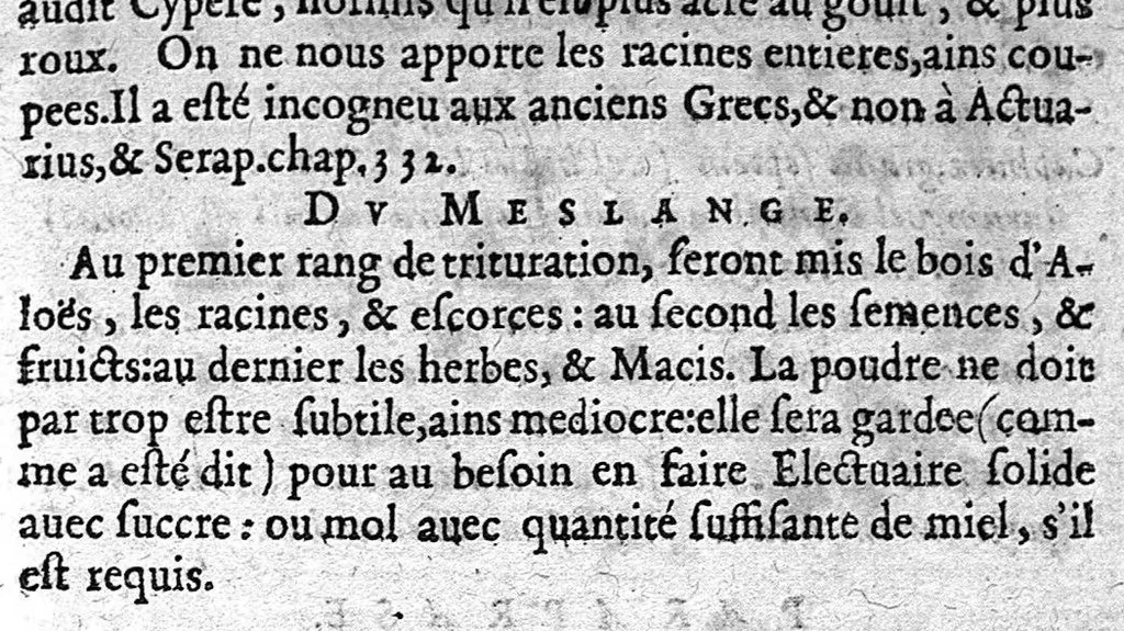 An illustration from Pharmacopée divisee en deux livres avec une ample paraphrase...dernière edition, 1640, leaf 145