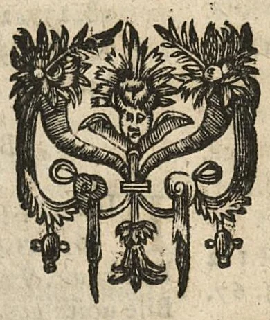 An illustration from La pharmacopée des dogmatiques réformée, 1648, leaf 564