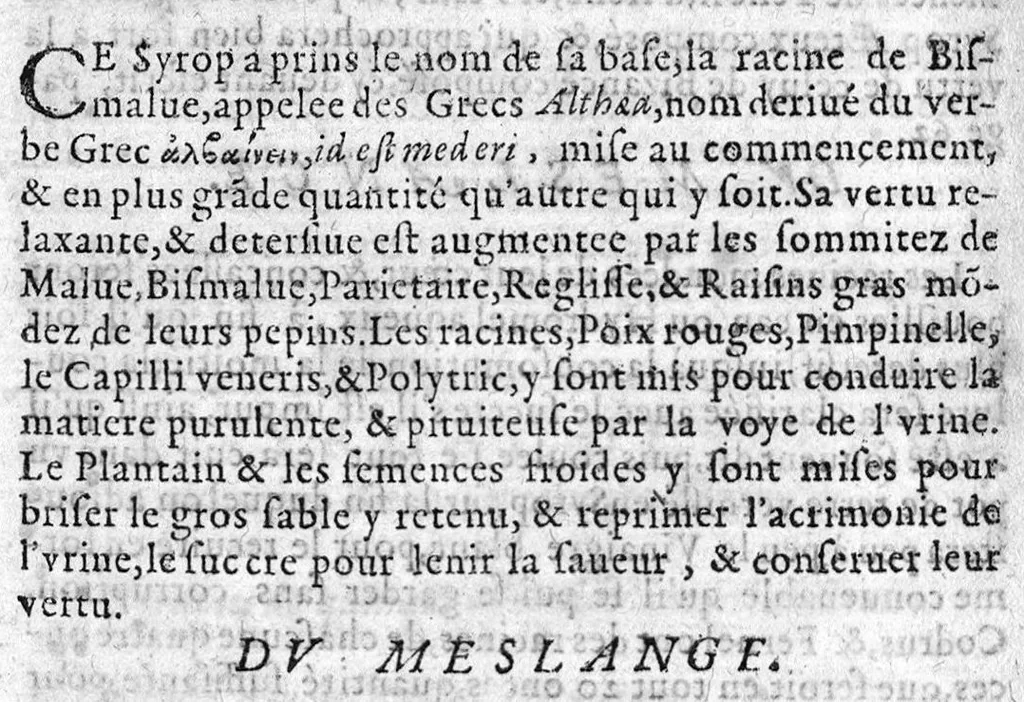 An illustration from Paraphrase sur la pharmacopée divisée en deux livres...reveüe, corrigée, & augmentée par l'Autheur. Ensemble un traicté des Eaux distillées, qu'un Apothicaire doit tenir en sa boutique, faict par Laurent Catelan,...derniere edition, 1623, leaf 91