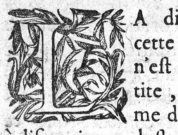 An illustration from Les essais de maistre Jean Pagez...sur les miracles de la création du monde et sur les plus merveilleux effects de la nature, 1631, leaf 25
