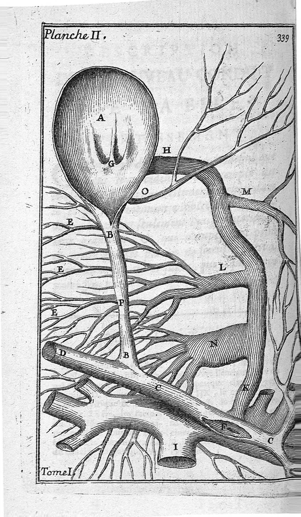 An illustration from Essais de physique ou recueil de plusieurs traitez touchant les choses naturelles / Vol. I, 1680, leaf 362