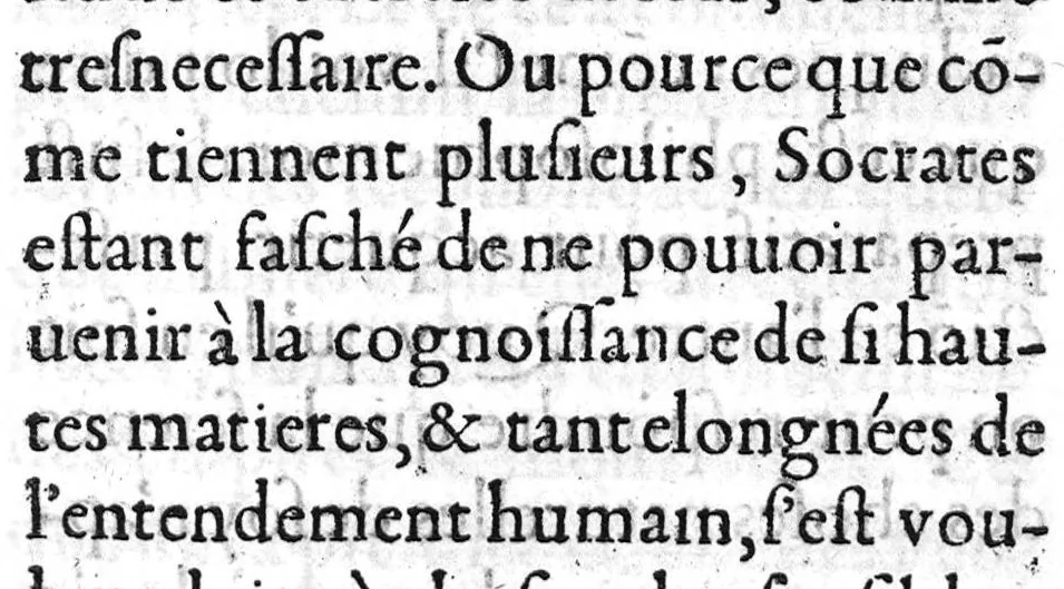An illustration from Les problemes d'Alexandre Aphrodisé, excellent et ancien philosophe, pleins de matieres de medecine et de philosophie, traduits de grec en françois,..., 1555, leaf 6
