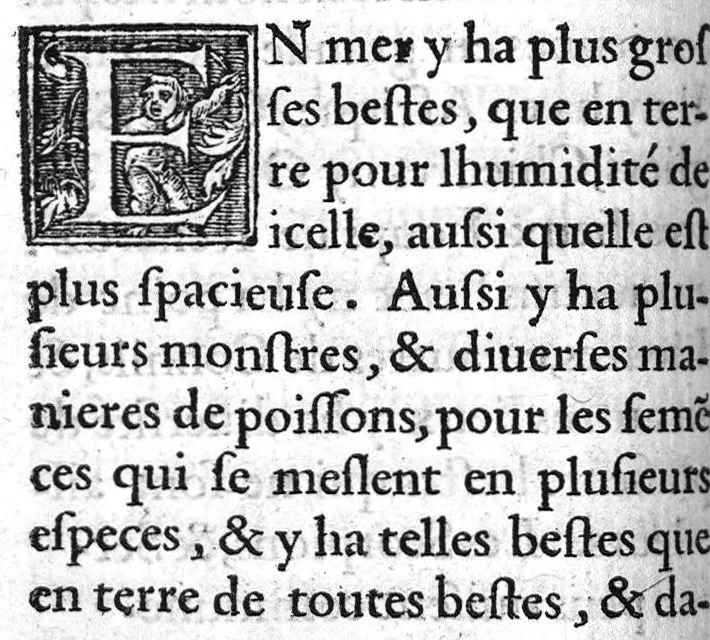 An illustration from Sommaire des singularitez de Pline, extraict des seize premiers livres de sa Naturelle histoire, et mis en vulgaire françois, par Pierre de Changy, 1546, leaf 77