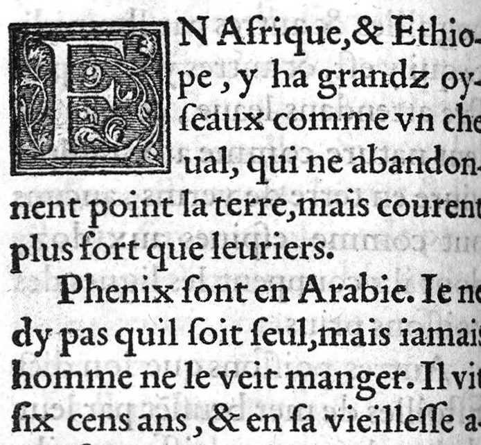 An illustration from Sommaire des singularitez de Pline, extraict des seize premiers livres de sa Naturelle histoire, et mis en vulgaire françois, par Pierre de Changy, 1546, leaf 87