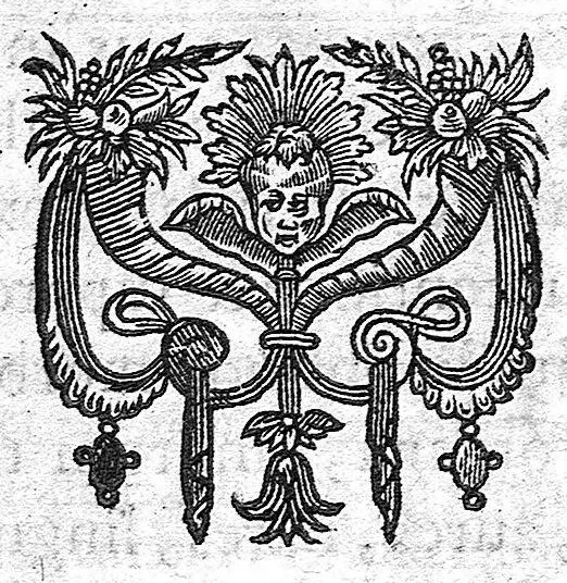 An illustration from Medicina practica, 1629, leaf 35