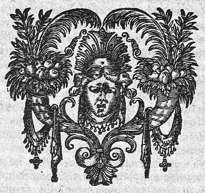 An illustration from Medicina practica - liber secundus, 1630, leaf 404